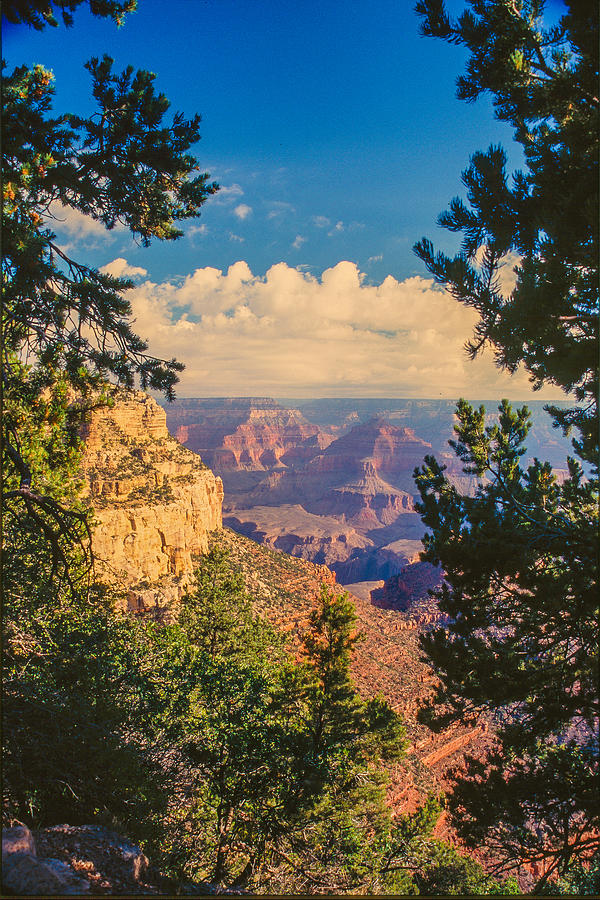 Grand Canyon Vista Photograph by David Drew