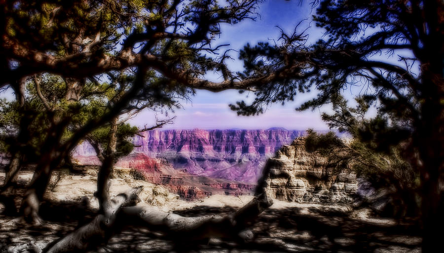 Grand Canyon Vista Photograph by Ellen Heaverlo