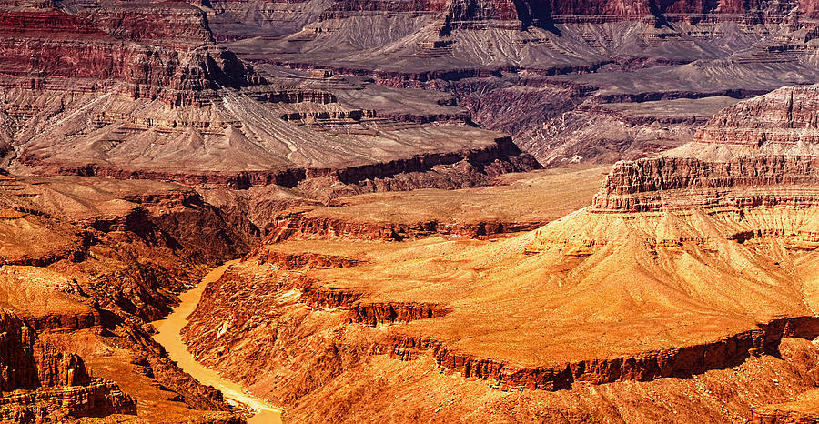 Grand Canyon Vista Photograph by Michael Hope