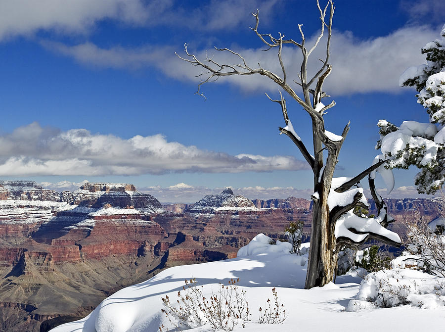 Grand Canyon Winter -2 Photograph by Paul Riedinger