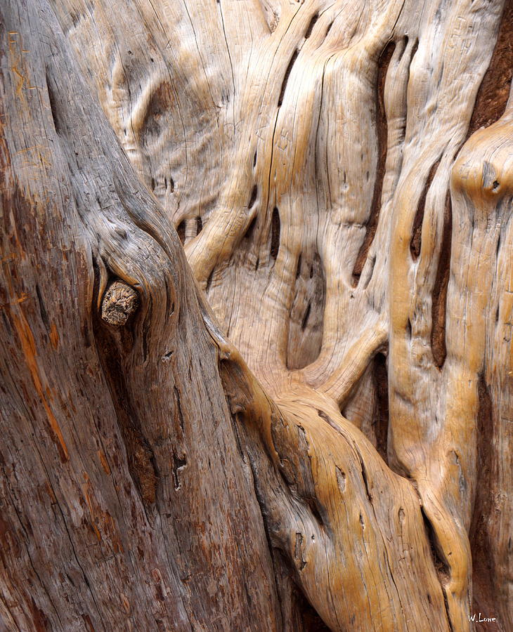 Grand Canyon Wood Photograph by Wendell Lowe