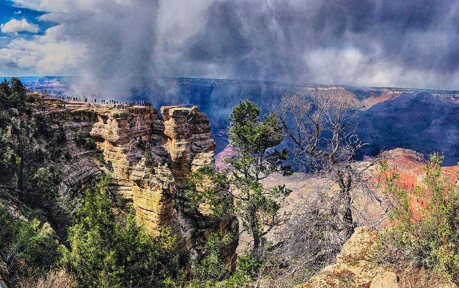 Grand Canyon X Photograph by C H Apperson