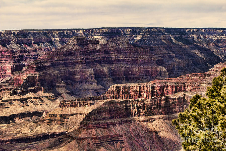 Grand Canyon XIV Photograph by Chuck Kuhn - Fine Art America