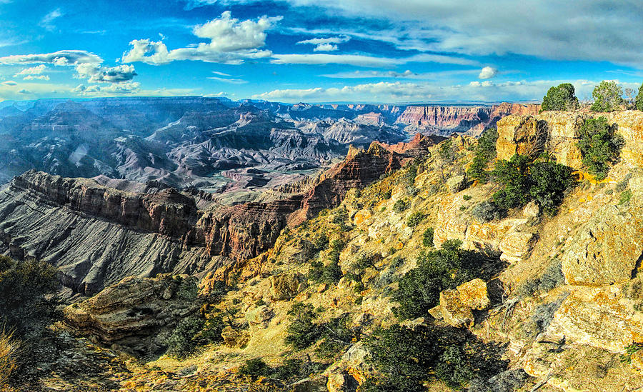 Grand Canyon XX Photograph by C H Apperson