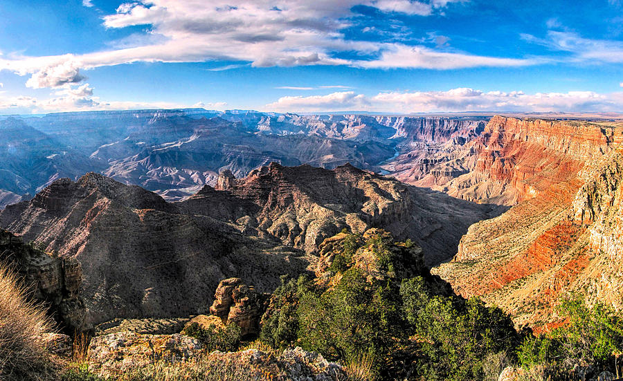 Grand Canyon XXII Photograph by C H Apperson