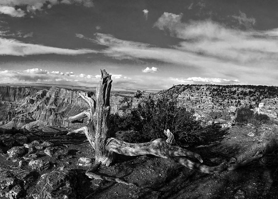 Grand Canyon XXIII BW Photograph by C H Apperson