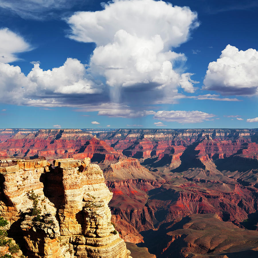 Grand Canyons Photograph by Lucynakoch