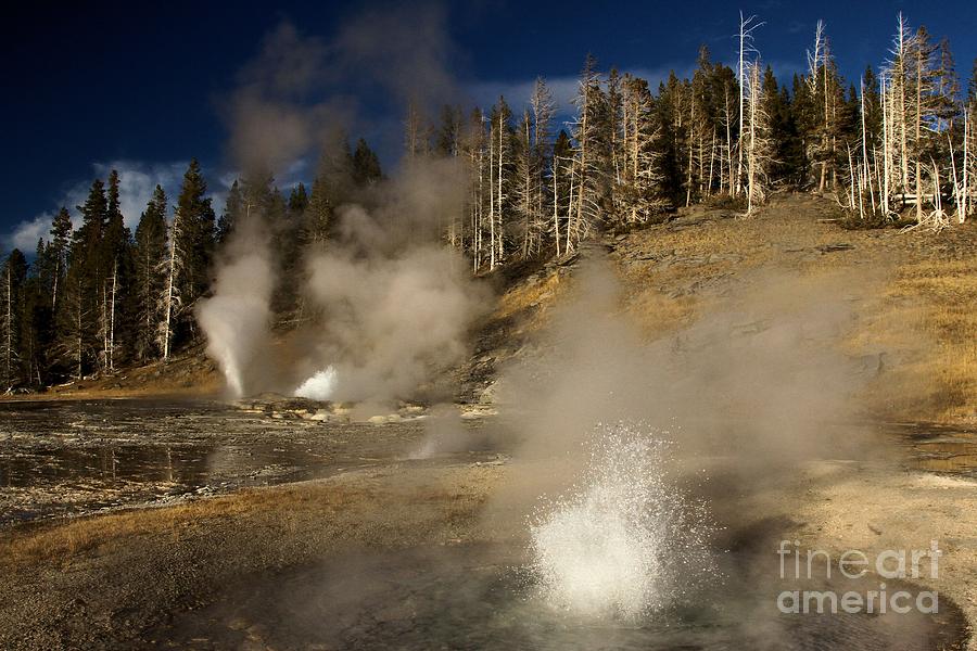 Grand Geyser Group Photograph by Adam Jewell