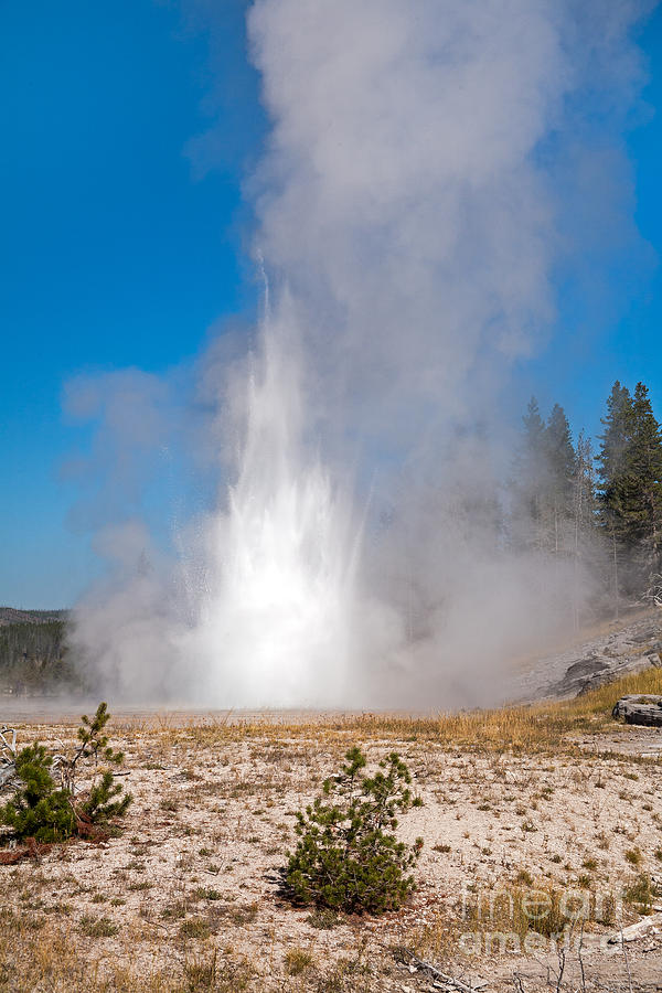 Grand Geyser in Upper Geyser Basin in Yellowstone National Park Photograph by Fred Stearns