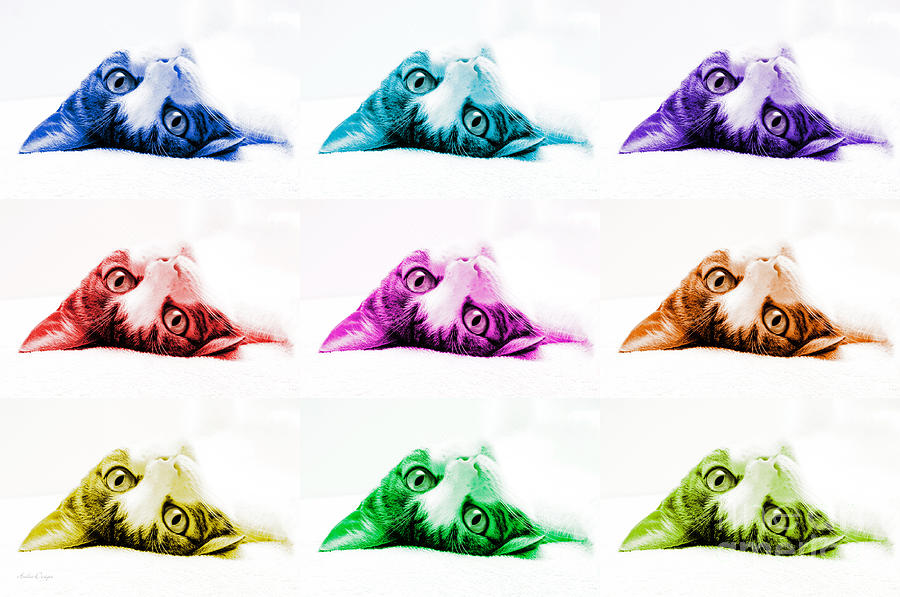 Grand Kitty Cuteness Pop Art 9 Photograph by Andee Design