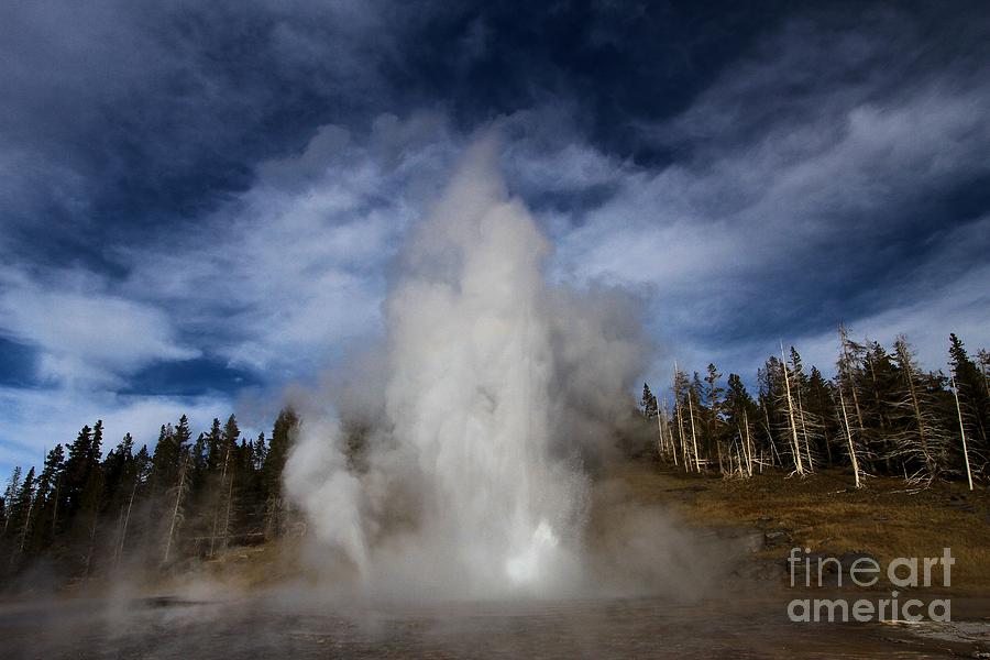 Yellowstone National Park Photograph - Grand Leftovers by Adam Jewell