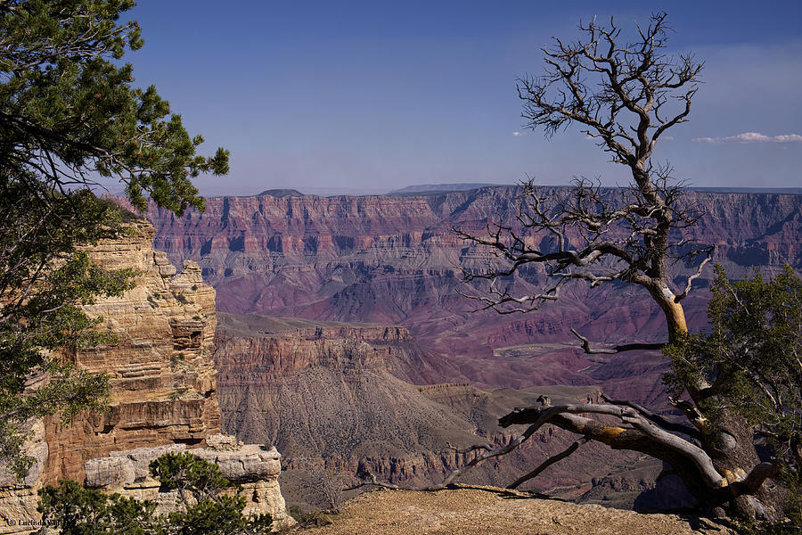 Grand Canyon National Park Photograph - Grand by Lucinda Walter