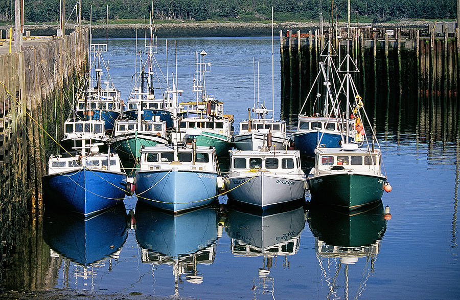 https://images.fineartamerica.com/images-medium-large-5/grand-manan-harbor-buddy-mays.jpg