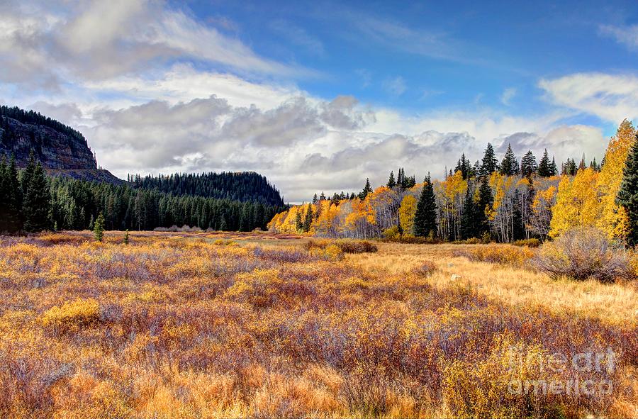 Grand Mesa Colors Photograph by Bob Hislop