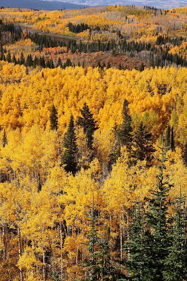 Grand Mesa during autumn Photograph by Jetson Nguyen - Fine Art America