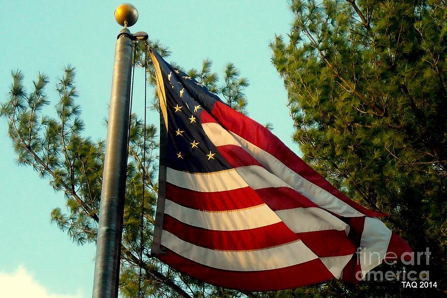 Grand Old Flag Photograph by Tami Quigley