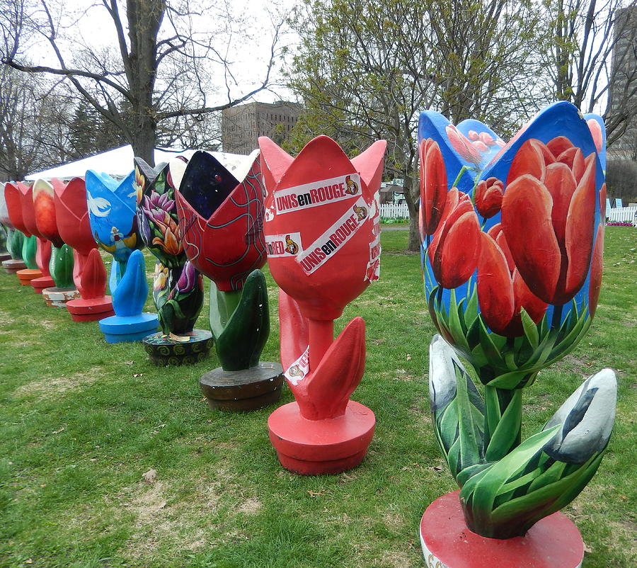 Grand Painted Tulips Photograph by Betty-Anne McDonald