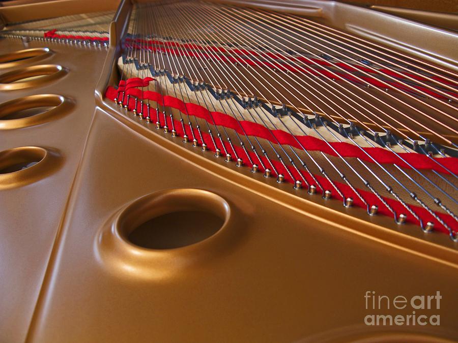 Music Photograph - Grand Piano by Ann Horn
