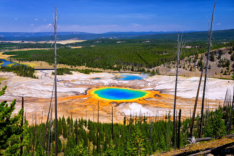 Grand Prismatic Spring 2013 Photograph by Greg Norrell