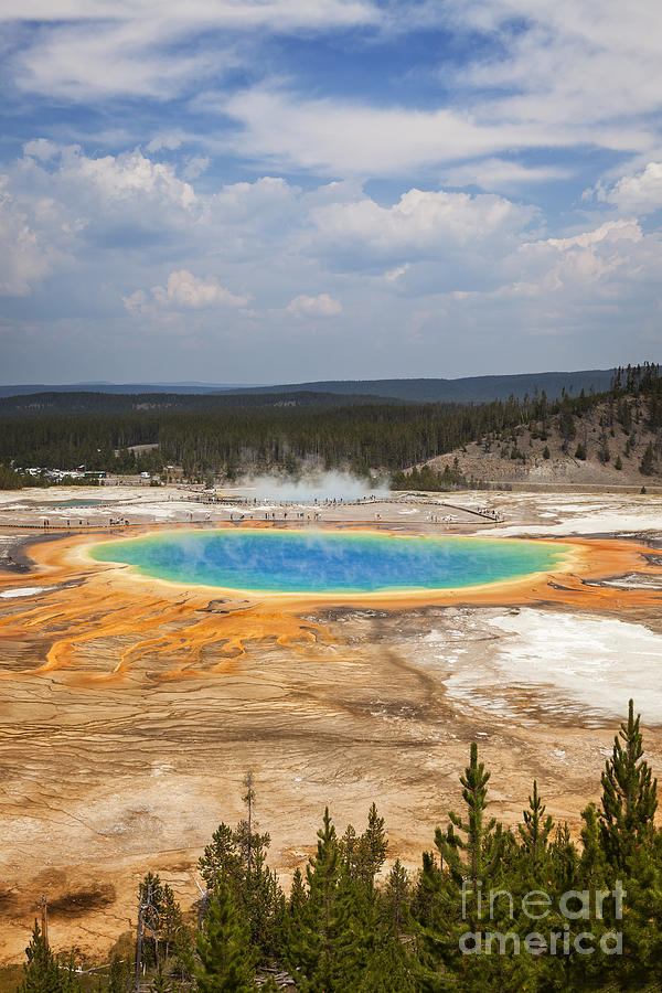 Grand Prismatic Spring Photograph by Bryan Mullennix
