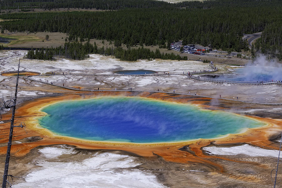 Grand Prismatic Spring Close Up Photograph by Justinreznick