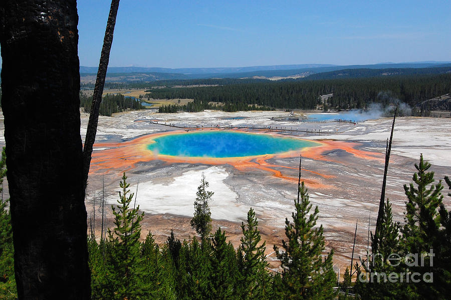 Grand Prismatic Spring from Hillside Photograph by Debra Thompson