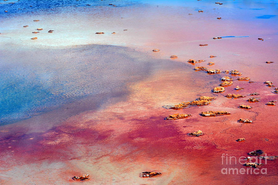 Grand Prismatic Spring Photograph by John Greco