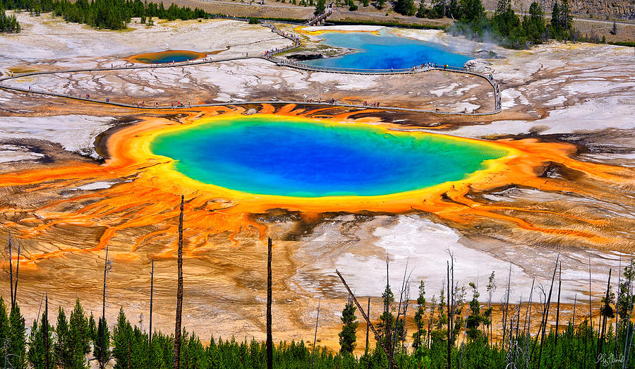 Yellowstone National Park Photograph - Grand Prismatic Spring Limited Edition by Greg Norrell