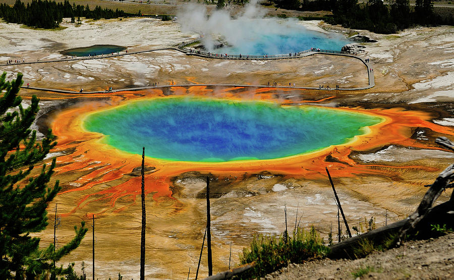 Grand Prismatic Spring no border Photograph by Greg Norrell