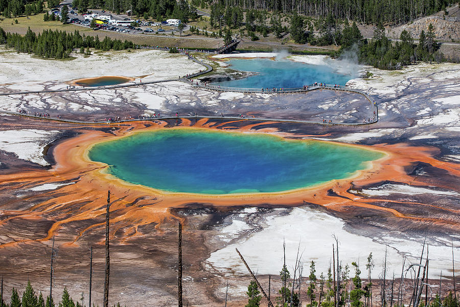 Grand Prismatic Spring Whole View Photograph by Nick