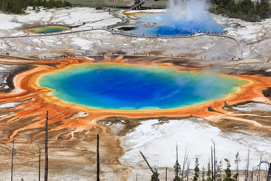 Grand Prismatic Spring Yellowstone Photograph by Duncan Usher