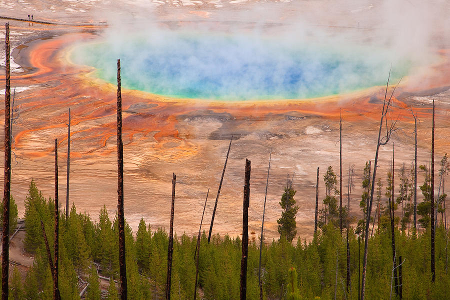 Grand Prismatic Springs Photograph by Aaron Whittemore