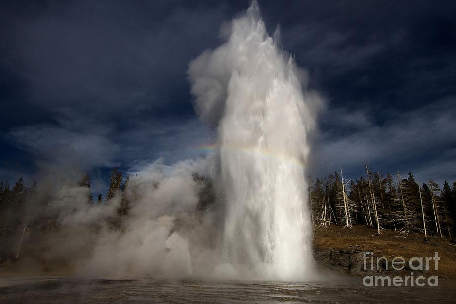 Yellowstone National Park Photograph - Grand Show by Adam Jewell