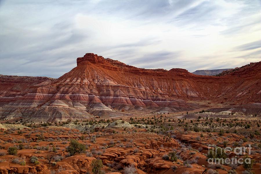 Grand Staircase-Escalante  Photograph by Roxie Crouch