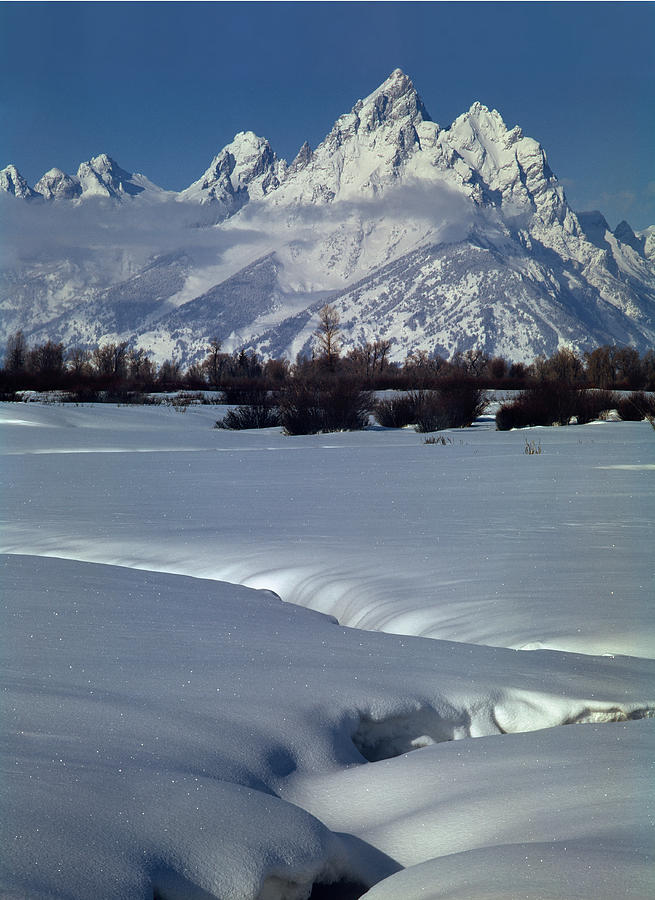 1M9305-Grand Teton from Jackson Hole, winter, V Photograph by Ed  Cooper Photography