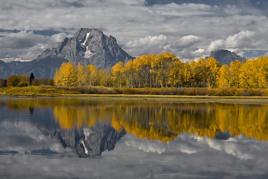 Grand Teton Gold Photograph by Wes and Dotty Weber