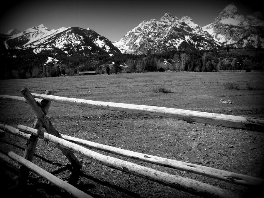 Grand Teton meadow with fence Photograph by Toni and Rene Maggio