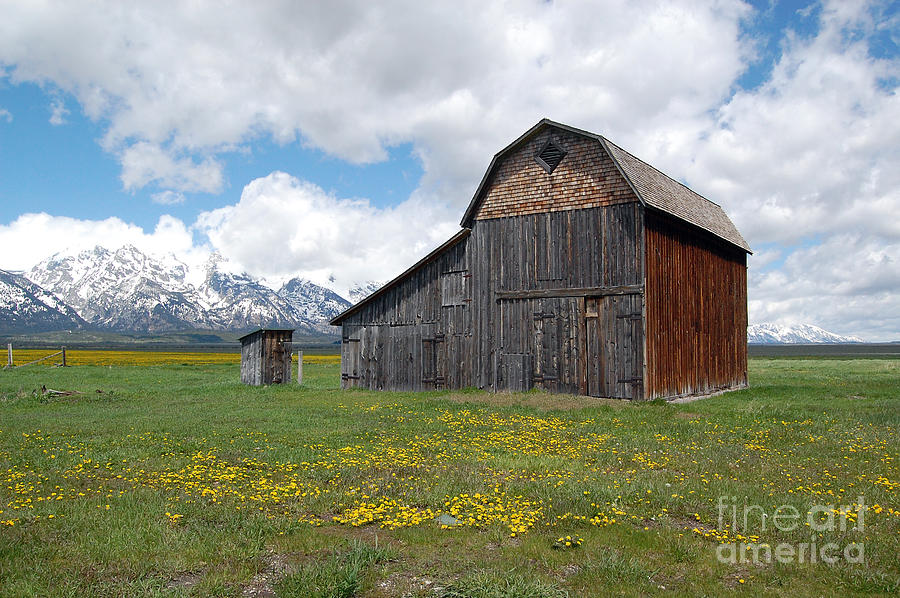 Grand Teton National Park Barn on Mormon Row Photograph by Shawn OBrien