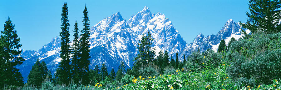Grand Teton National Park Wy Usa Photograph by Panoramic Images