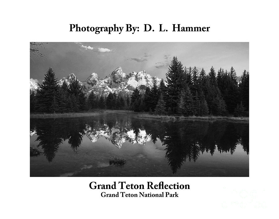 Grand Teton Reflection Photograph by Dennis Hammer