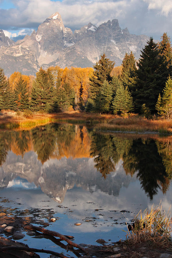 Grand Teton Reflection Photograph by Theo OConnor