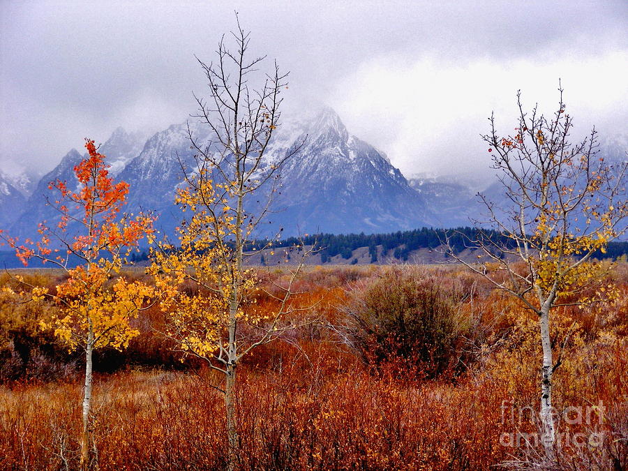 Grand Tetons Autumn Photograph By Marilyn Smith Fine Art America