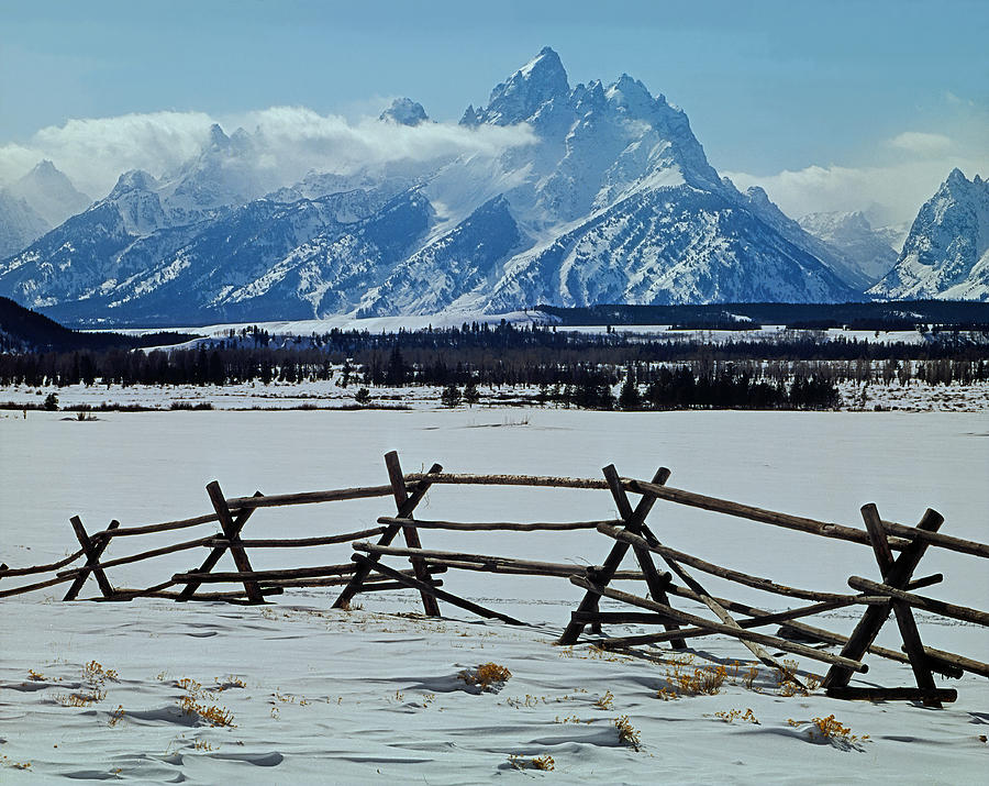 1M9306-Grand tetons from Ranch Country Photograph by Ed  Cooper Photography