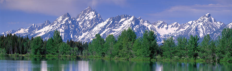 Tree Photograph - Grand Tetons National Park Wy by Panoramic Images