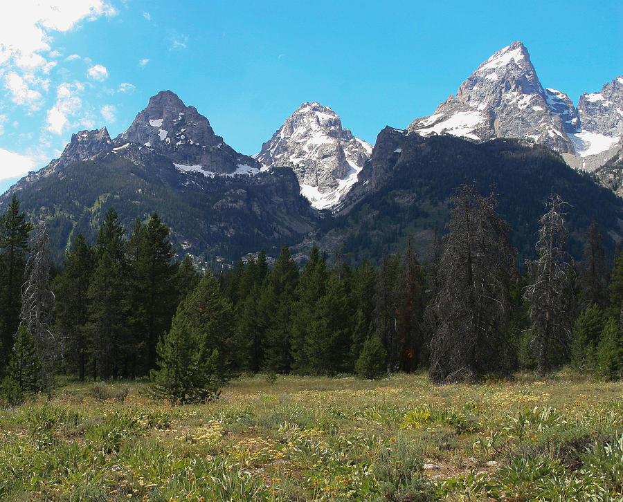 Grand Tetons View 5 Photograph by Natural Focal Point Photography