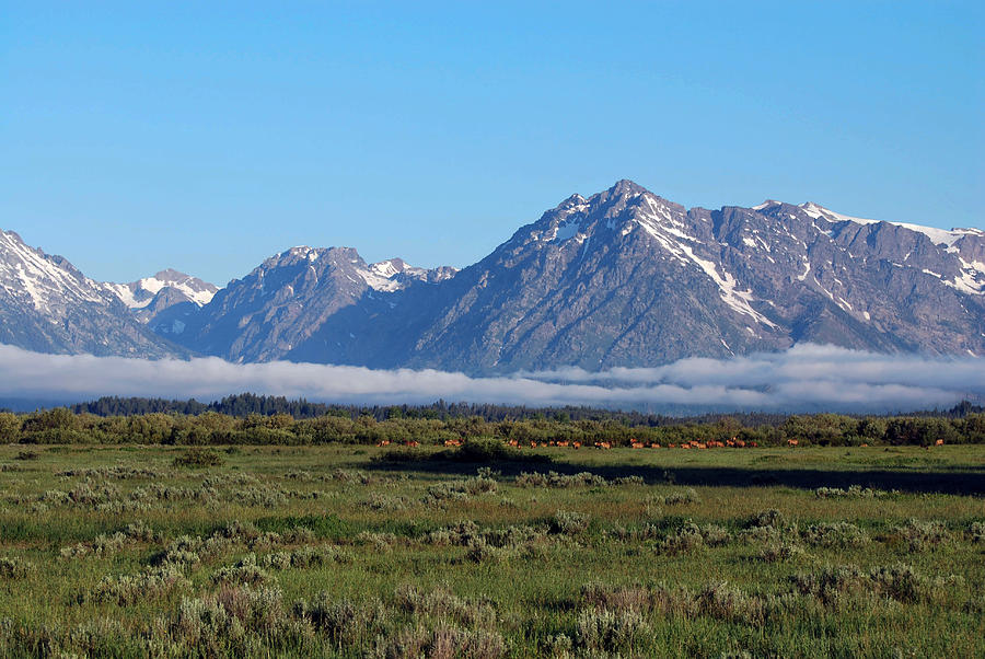 Grand tetons with low cloud Photograph by James Wolf - Fine Art America