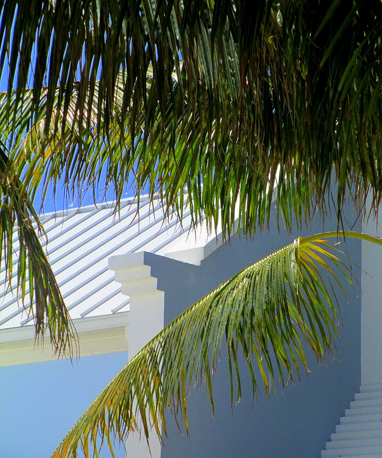 Architecture Photograph - Grand Turk Architecture by Randall Weidner