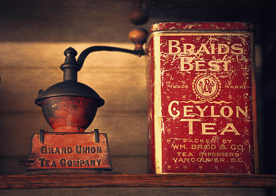 Grand Union Tea Company Photograph by Maria Angelica Maira