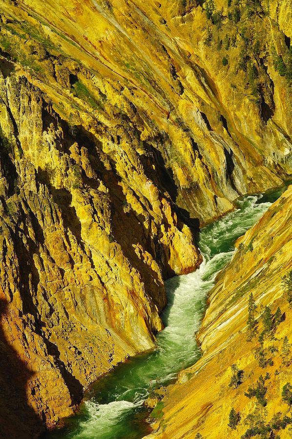 Nature Photograph - Grandcanyon of yellowstone by Jeff Swan