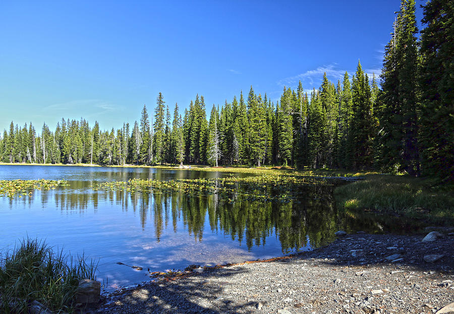 Grande Ronde Lake Photograph by Team Hymas | Fine Art America